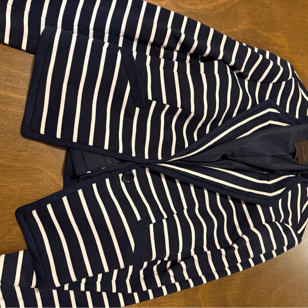 The Limited Dark Blue and White Blazer